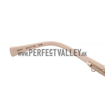 Hermes Carriage Motif Beige Sunglasses 307830