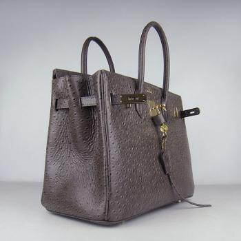 Hermes Birkin 6089 Handbag Ostrich Skin