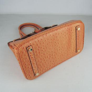 Hermes Birkin 6088 Ostrich Skin Orange Handbag