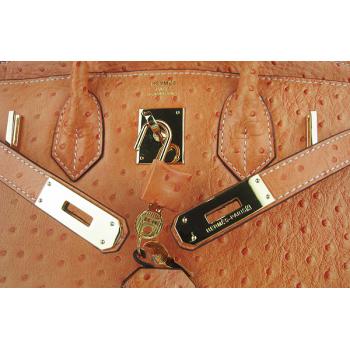 Hermes Birkin 6088 Ostrich Skin Orange Handbag