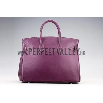 Hermes Birkin Plum