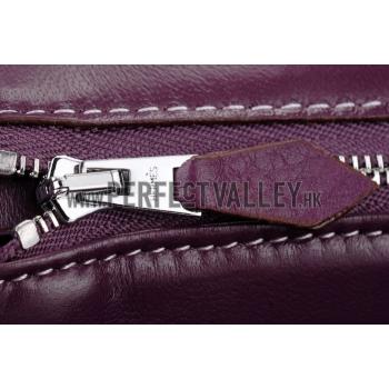 Hermes Birkin Plum