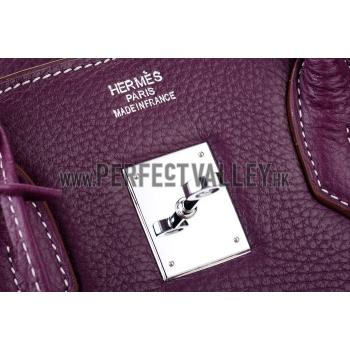 Hermes Birkin Plum