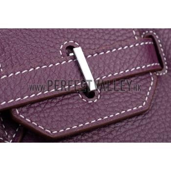 Hermes Birkin Plum