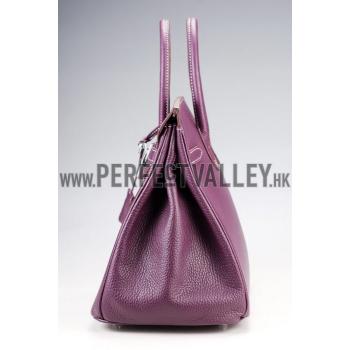 Hermes Birkin Plum