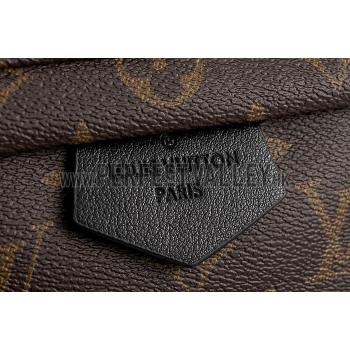 Louis Vuitton Monogram Palm Springs Backpack MM 18926711