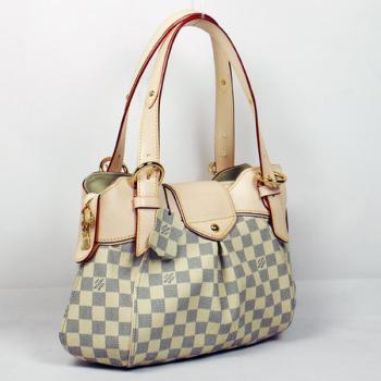 Louis Vuitton Damier Canvas N41542 Grey Large 2way