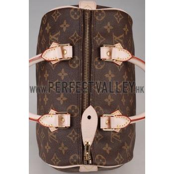 Louis Vuitton Monogram Speedy 25