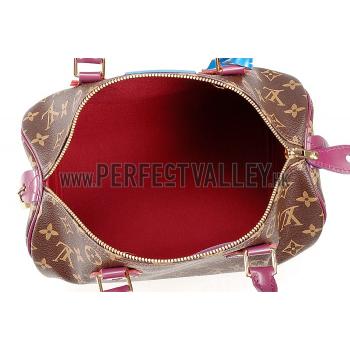 Louis Vuitton Monogram Totem Speedy Plum