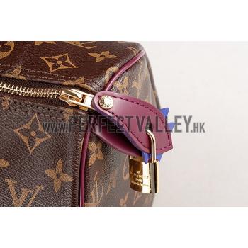 Louis Vuitton Monogram Totem Speedy Plum