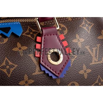 Louis Vuitton Monogram Totem Speedy Plum