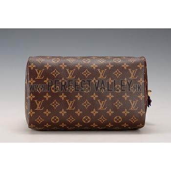 Louis Vuitton Monogram Totem Speedy Plum