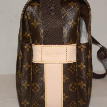 Louis Vuitton Monogram Canvas M50205 Canvas Small Unisex