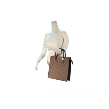 Louis Vuitton Damier Canvas N51145 Canvas Small Ladies Handbags