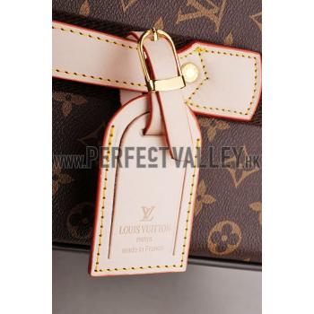 Louis Vuitton Pegase 55