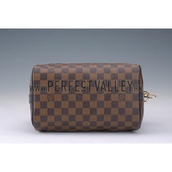 Louis Vuitton Damier Speedy 25 with Shoulder Strap