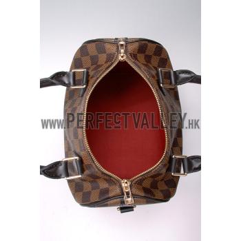 Louis Vuitton Damier Speedy 25 with Shoulder Strap