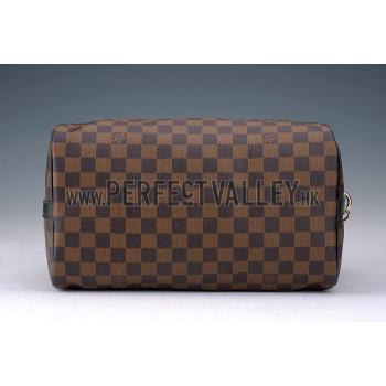 Louis Vuitton Damier Speedy 30 with Shoulder Strap