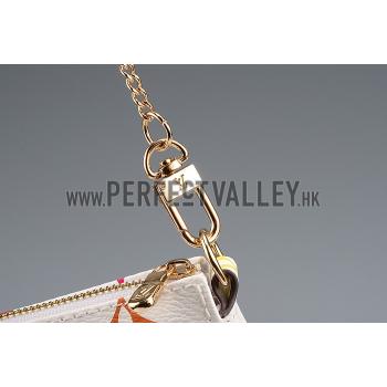 Louis Vuitton Mini Pochette Accessories Evaison White Monogram Canvas