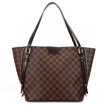 Louis Vuitton Damier Canvas N41108 Cow Leather 2way Ladies