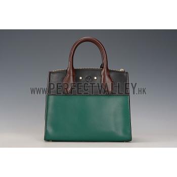 Louis Vuitton City Steamer Bag Bicolor Green