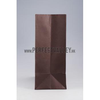 Louis Vuitton Large Paper Bag