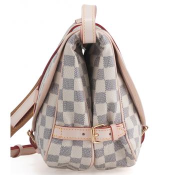 Louis Vuitton Damier Canvas N48202 Grey Canvas Ladies Bag