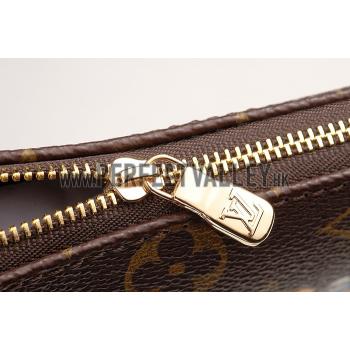 Louis Vuitton Mini Pochette Accessories Evaison Monogram Canvas