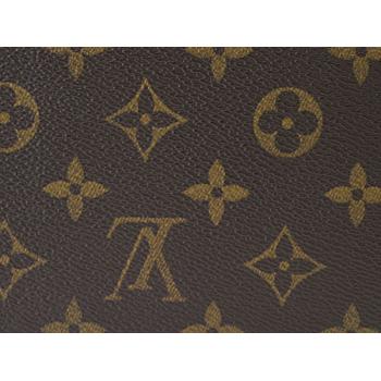 Louis Vuitton Monogram Canvas M60017 Canvas Small Accessory