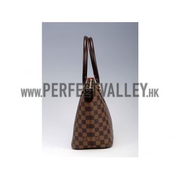 Louis Vuitton Damier Canvas Saleya PM