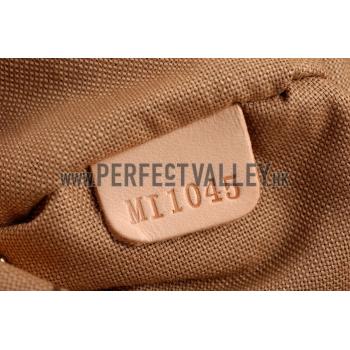 Louis Vuitton Monogram Delightful PM