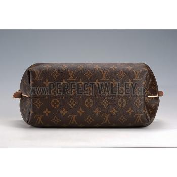 Louis Vuitton Turenne Monogram Canvas MM Bag