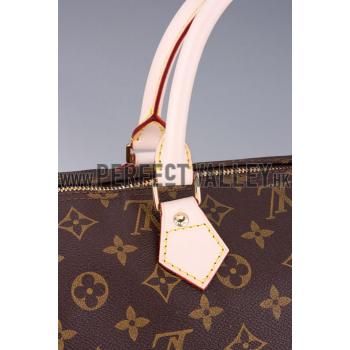 Louis Vuitton Monogram Speedy