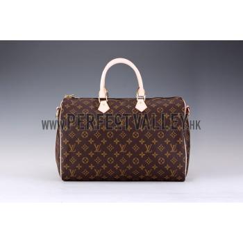 Louis Vuitton Monogram Speedy