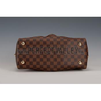 Louis Vuitton Damier Ebene Salvi Bag