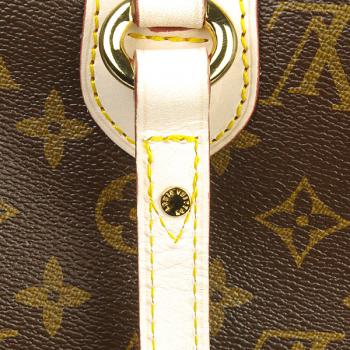 Louis Vuitton Monogram Canvas M95565 Brown Cross Body Bag Ladies