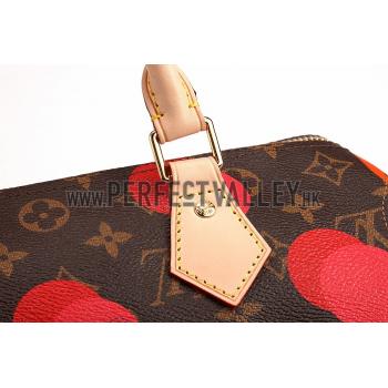 Louis Vuitton Speedy 30 Ramages