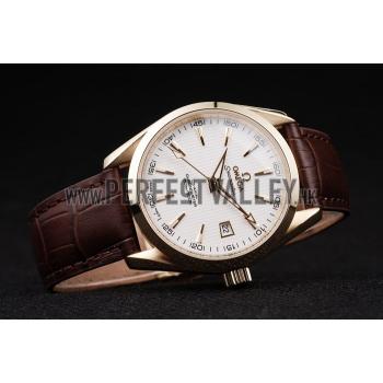 Omega Swiss Seamaster Aqua Terra Brown Strap White Striped Dial