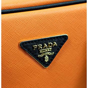 Prada  0808 Ladies Handbag Cow Leather