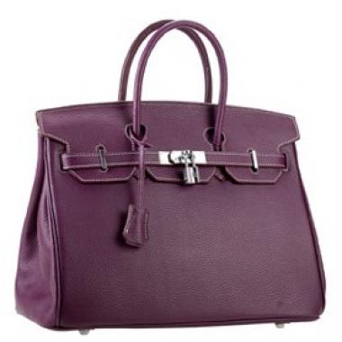 Hermes Birkin Plum