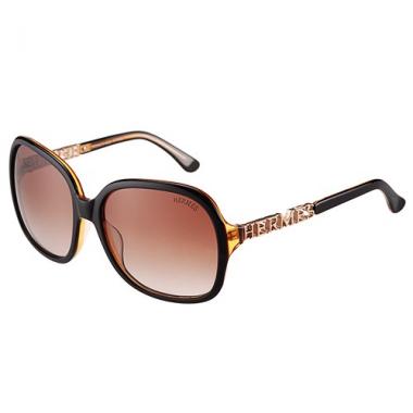 Hermes Large Oversized Brown Frame Sunglasses with Metallic Logo 308103