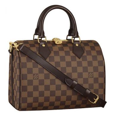 Louis Vuitton Damier Speedy 25 with Shoulder Strap