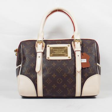 Louis Vuitton Monogram Canvas M50208 Canvas Medium Multifunction Bags