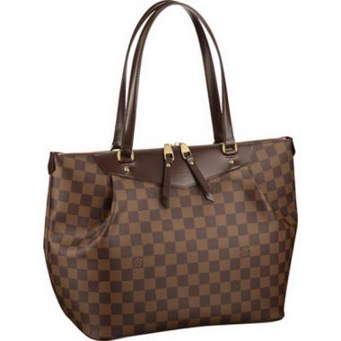 Louis Vuitton Damier Canvas N41103 Canvas HandBags Ladies