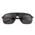 Cartier Screw And Panthere Decor Black Frames Black Lenses Sunglasses  308134