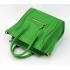 Celine 80029 Ladies Cow Leather Green Bag HM01664