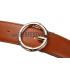 Cheap Gucci Web Brown Leather Belt with Golden Rimmed Buckle