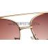 Gucci Signature Logo Gold Frame Brown Lenses Sunglasses 308145