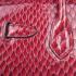 Hermes Birkin 6088 Ladies Snake Leather Red