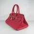 Hermes Birkin 6109 Ladies Handbag